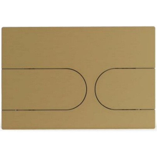 CS110BGSS_1